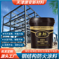 室内外钢结构膨胀型防火涂料阻燃超薄源头厂家白色水性油性 防火漆